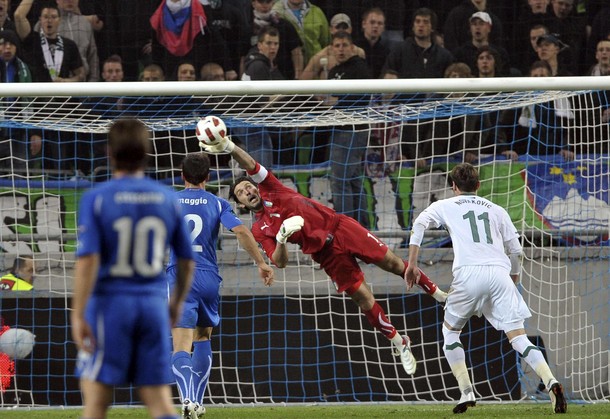 Buffon - fly
