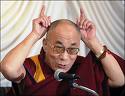lama1