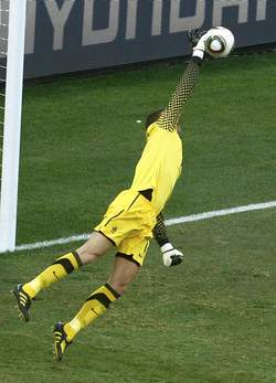 stekel kaka