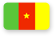 Cameroon National Team Jerseys
