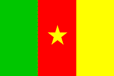 Cameroon flag2