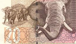 20 rand