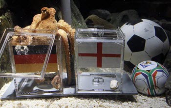 paul-the-octopus-oracle-pic-pa-77657187