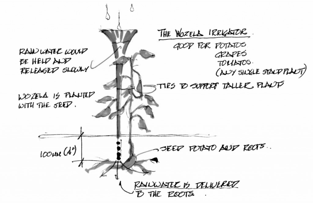 wozela-irrigator-1